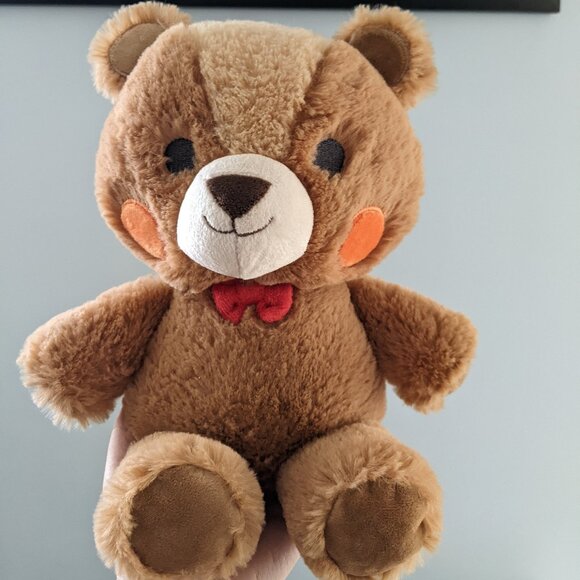 F.A.O. Schwartz Official Teddy Bear Plush (no tags) - Picture 1 of 5